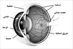 پاورپوینت-فیزیک-چشم-و-بینایی-(فیزیک-پزشکی-چشم)