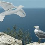 تحقیق-طراحی-و-شبیه-سازی-ربات-پرنده