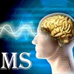 پاورپوینت بررسی بیماری ام اس (MS) و تاثیر ویتامین D و عصاره زنجبیل بر بیان مغزی نخاعی ژن ها