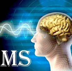 پاورپوینت بررسی بیماری ام اس (MS) و تاثیر ویتامین D و عصاره زنجبیل بر بیان مغزی نخاعی ژن ها