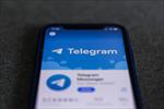 دانلود بانک شماره موبایل های تلگرام (نسخه ویرایش شده و منظم شده) -⭐️⭐️⭐️