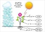 پاورپوینت عوامل محیطی مؤثر بر رشد و نمو گیاهان