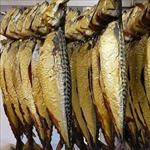 پاورپوینت فرایند تولید ماهی دودی و ماهی شور