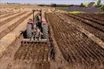 پاورپوینت آماده سازی بستر بذر در زراعت عمومی