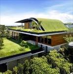 پاورپوینت بام های سبز (Green Roofs)