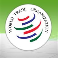 پاورپوینت سازمان تجارت جهانی و تاثیر دستیابی چین به WTO